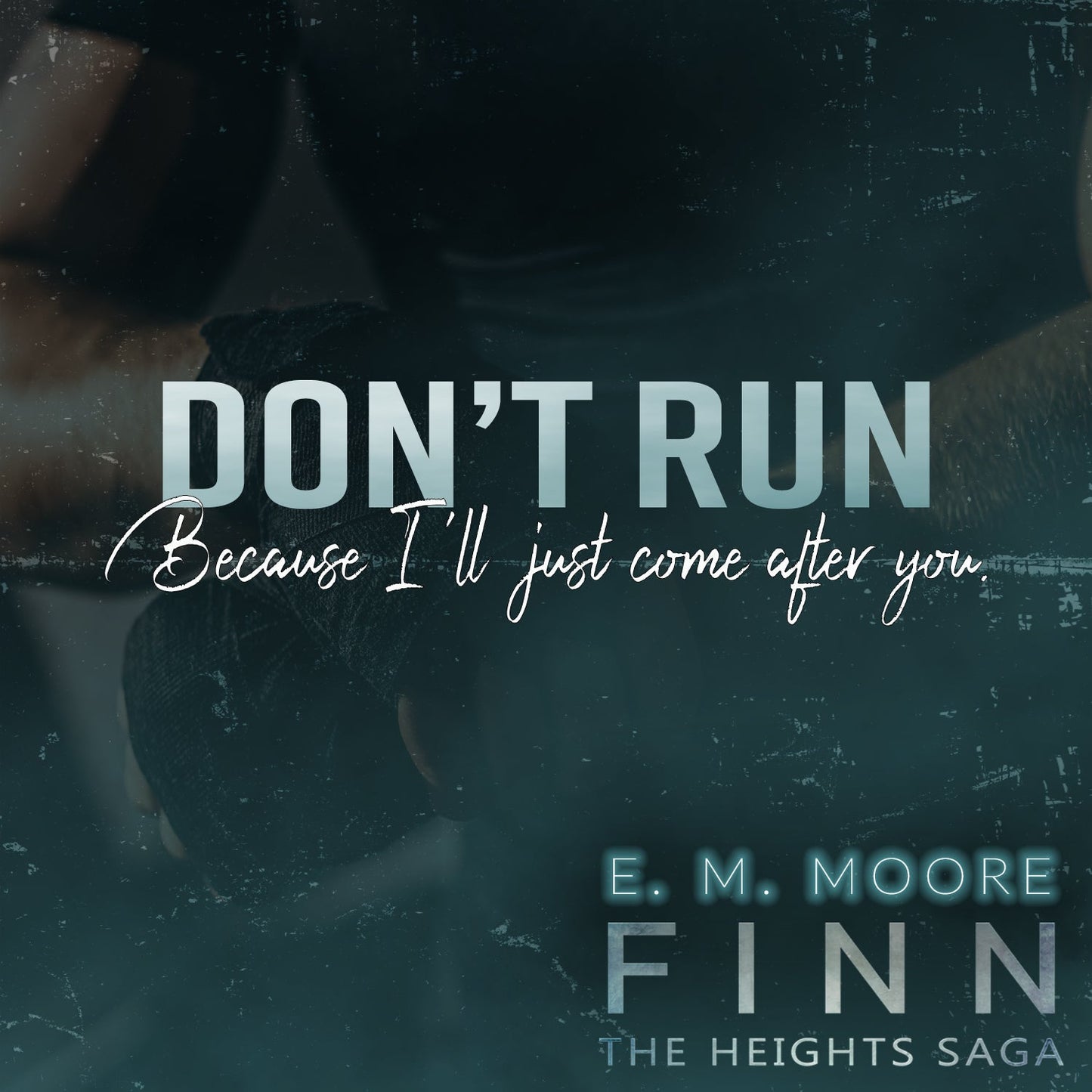 Finn: An MMA Bodyguard Romance